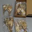 12/24 Pack Dried Flowers for Vase Various Mini Bouquet Dried Small Wildflowers Natural Real Flowers Bulk for Crafts DIY Wedding Decor (12, Plain Colour)