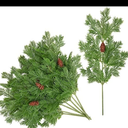 Wsorik 4Pcs Realistic Norfolk Pine Branches -18Inch Artificial Real Touch Christmas Pine Stems Picks Greenery Fake Cedar Pine Branch for Vase DIY Crafts, Xmas Indoor Outdoor Home Decor