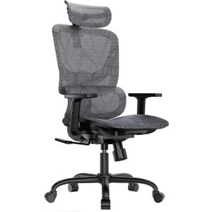 HUANUO Ergonomic Office Chair  High Back Mesh Chair with 5-Level Lumbar Support, Adjustable Headrest & Armrests, Rocking Tilt, Comfortable Computer Desk Chair for Home Office or Gaming