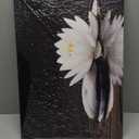 GLOKAKA Zen White Lotus Flower Wall Art Black and White Lotus on Spa Stone and Water Picture Canvas Print Artwork for Yoga Meditation Room Bathroom Wall Decor (18"L x 12"W)