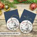 Capybara Ornament 2025  Funny Animal Lovers, Cute Ceramic Ornament for Women, Men & Friends, Unique Capybara Decor for Tree Decoration or Gift Exchange