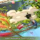 2 x Abizoo Halloween Aquarium Floating Plant Corral, Fish Feeding Ring Plastic White Skull Shape for Aquarium Feeding Ring Decor, Keep Tank Clean No-Suction Cup for Betta Fish, Goldfish Small Fish