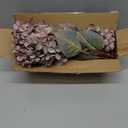 Ttranewsoo Fake Flowers Hydrangea Silk Flowers with Stems,Brown Flowers Fall Hydrangea Artificial Flowers,Winter Flowers Artificial for Decoration Vase Indoor and Outdoor 24"Brown 8PCS Wthout Vase