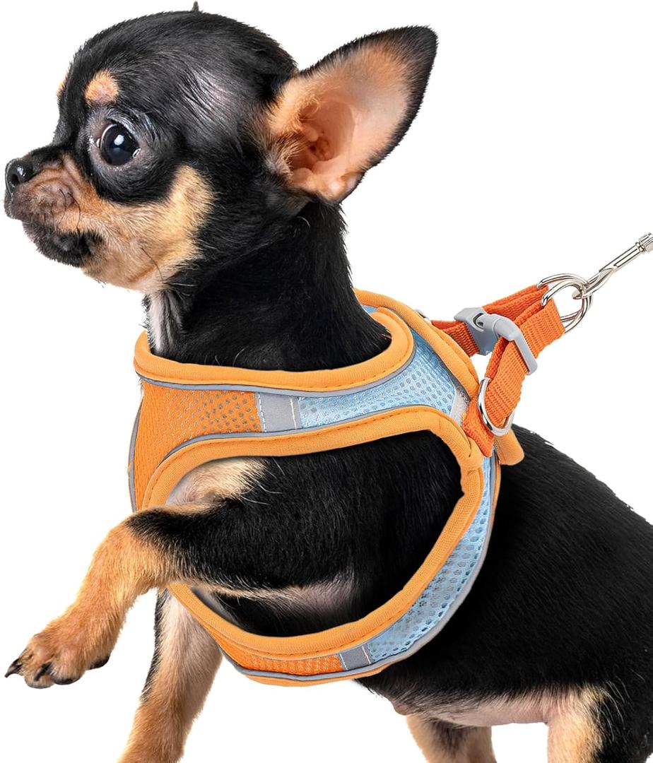 Premium Chihuahua Harness and Leash Set - Ultra-Comfy & Secure Dog Harness for Chihuahua