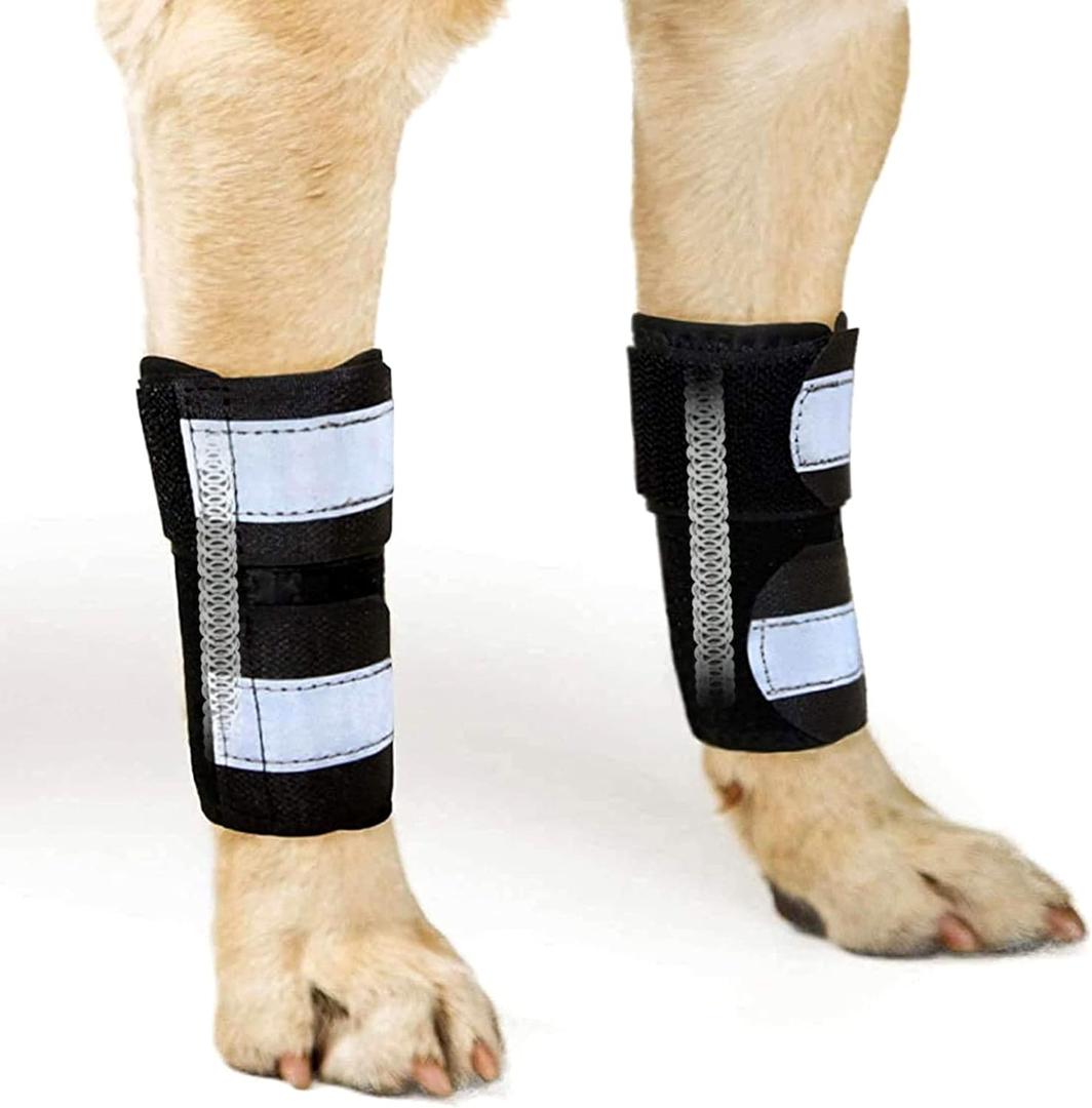 NeoAlly- Front Leg Brace for Dogs & Cats, Dog Leg Brace with Metal Spring Inserts, Dog Leg Sleeve for Carpal Support, Dog Leg Sleeve with Reflective Straps, S/M, Pair (S/M (1 Pair))