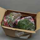 Giegxin 58 Pcs Christmas Norfolk Pine Stems with Small Pinecones and Red Berries Branches Red Christmas Balls for DIY Home, Wreath Garland Xmas for Indoor/Outdoor Floral Arrangements