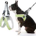 Gooby Simple Step in III Harness - Green, X-Small - Small Dog Harness with Scratch Resistant Outer Vest - Soft Inner Mesh Harness for Small, Medium Dogs (X-Small chest (1214.75"))