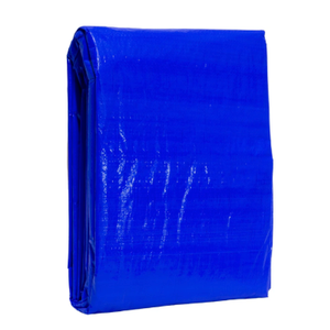 Blue Pole Trap, 16 x 20"