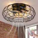 Ceiling Fan with Lights, 16 Inch Caged Ceiling Fan Lights Remote Control Small Industrial Ceiling Fan Light Fixture Flush Mount Farmhouse Light 8 Speeds Bladeless Lights for Bedroom Kitchen, Black 