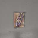 Lionheart glory Valentine Dog Collar-Red Hearts Cute Spring Dog Collar for Medium Dogs Female Male Adjustable Heavy-Duty Puppy Collars Holiday Pet Gift (Medium(Pack of 1))