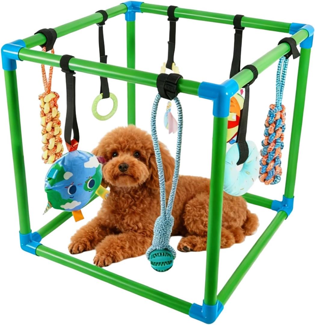 SpaceTime Puppy Play Gym with 8 Hanging Toys,Interactive Dog Toys to Keep Them Busy,Puppy Chew Rope/Rubber/Squeaky/Plush Toy for Indoor Small & Large Dogs,Durable Frame with Elastic Straps (Green)