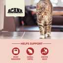 ACANA Dry Cat Food for Indoor Cats Indoor Entre Chicken Turkey Whole Herring and Rabbit 4lb Bag (EXP 02/28/26)