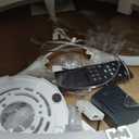 VOLISUN Ceiling Fans with Lights and Remote, 19.7in Low Profile Ceiling Fans with Light, 3000K-6500K Dimmable Fandelier Ceiling Fan, White Flush Mount Ceiling Fan for Bedroom