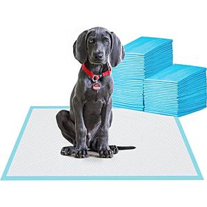 Basics Heavy Duty Dog and Puppy Pee Pads, 5Layer LeakProof Ultra Absorbent, QuickDry Surface, Potty Training, Regular (24x23"), 80 Count, Blue & White