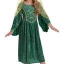 Fun Shack Green Girls Renaissance Costume, Medieval Costume Girls, Kids Princess Costumes, Halloween Costumes for Kids Medium