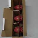 Fluidmaster 502CN3 PerforMAX Universal Water-Saving Long Life Toilet Flapper for 2-Inch Flush Valves, Adjustable Solid Frame Design, Easy Install, 3 Pack, Red, 3 Pack