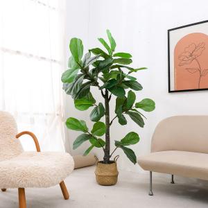 6ft Artificial Plant Fiddle Leaf Fig Tree,Faux Ficus Lyrata in Pot,Ficus Fake Plant Artificial Trees for Office Indoor Outdoor Garden Living Room Home Decor 1PCS (Green)