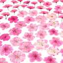 48 Pcs Mix Natural Dried Pressed Cherry Blossoms for Floral Cake Decorating, Cocktail Garnish, Resin Jewelry Making, DIY Art Crafts (Pink Sakura)
