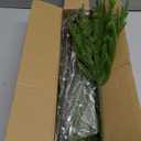 HyeFlora 14 PCS Christmas Norfolk Pine Stems with Small Pine Cones Branches, 19 In Real Touch Artificial DIY Greenery Pine Needles Picks, Xmas Faux Cedar Pine Branche for Vase Indoor Outdoor Home Dcor