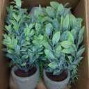 FAVOWREATH 4 Pack Fake Plants Ceramic Mini Artificial Greenery Potted Plants for Home Decor Office Decor Room Decor Farmhouse Decor Indoor Table Bathroom Decor (Grey)