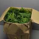 2 Set Fake Ferns with Hanging Baskets, Realistic Fake Hanging Plants, UV Resistant Artificial Ferns Outdoor Faux Plants for Front Porch Patio Garden Home Dcor, No Assembly Required