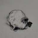 WeKen Black and White Costume Wig for Women Half Black and White Short Wavy Curly Synthetic Wigs for Halloween Christmas Carnival Party