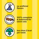 Temptations MixUps Surfer's Delight Flavor Crunchy and Soft Cat Treats, 30 oz. Tub (1.88 Pound (Pack of 1))