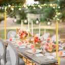Over The Table Rod Stand with Clamps Adjustable 46"-100'' Length 29"-55" Height Gold Table Balloon Arch Stand with Storage Bag, Metal Decorating Rod Hanging