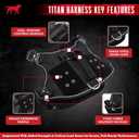 Tuff Pupper Elite Tactical Dog Harness | Dual Control Handles | Front & Back D-Rings | Fully Adjustable | Military Cobra Buckles | Heavy Duty Nylon Vest | Reflective MOLLE Dog Harness for Medium Dogs (M)