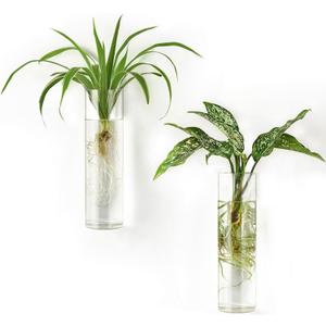 Mkono Propagation Station Wall Planter Hanging Glass Tubes Flower Vase for Hydroponics Plants, Bathroom, Home Office Living Room Decor Gift, Cylinder Set of 2, Clear