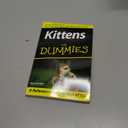 Kittens For Dummies