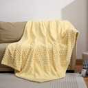 Excervent Flannel Fleece Throw Blanket (50x70 inches), Hexagon Jacquard Decorative Fuzzy Blankets for Household, Camping, and Travel, Super Soft Cozy, Suitable for All Seasons, Light Yellow