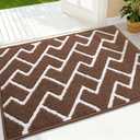 OLANLY Front Door Mat, Non-Slip Rubber Backing, Dirt Resistant and Absorbent, Washable, Easy to Clean Low-Profile Indoor Doormat for Back Door, Entryway, Inside Entrance, 32x20, Coffee