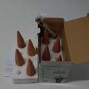 Plant Watering Devices 8 Pack Terracotta Vacation Plant Waterer Wine Bottle Watering Stakes Slow Release Plant Watering Spikes Self Watering Devices for Indoor Outdoor Plants