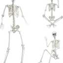 7.9ft/240cm Giant Skeleton Halloween Skeleton Life Size Skeleton Posable Skeleton Full Body Realistic Bones with Movable Joints for Halloween Outdoor Indoor Decorations