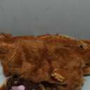 Morph Lion Costume Adult - Lion Costumes for Men - Animal Halloween Costume for Adults - Fun Dress Up Outfit Size M