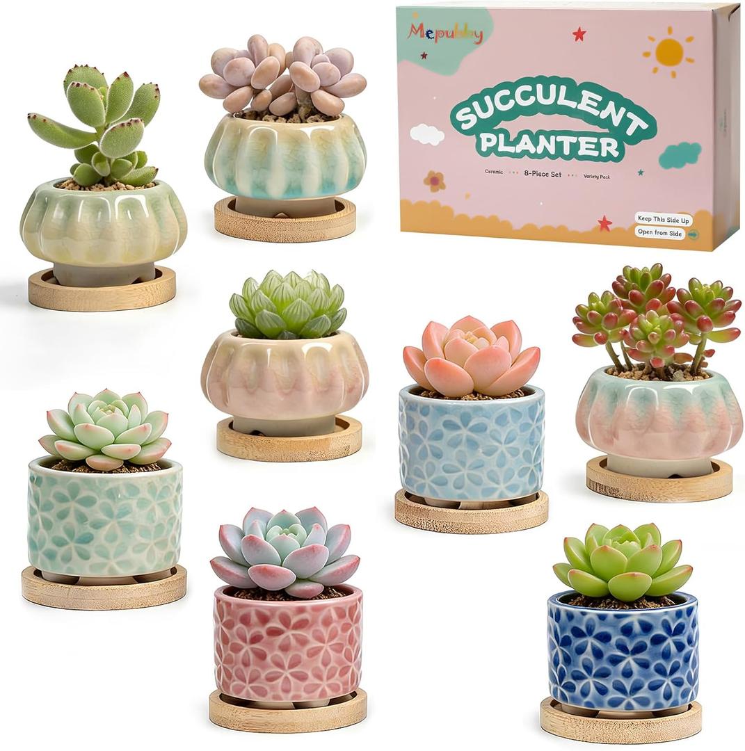 8 Pcs Succulent Pots with Ice Crack Glaze, 2 Shapes & 8 Colors Ceramic Succulent Planters with Drainage Holes & Bamboo Saucers, Indoor Plant Pots for Home GardenDesk Decor, Office Decor, Gift Idea