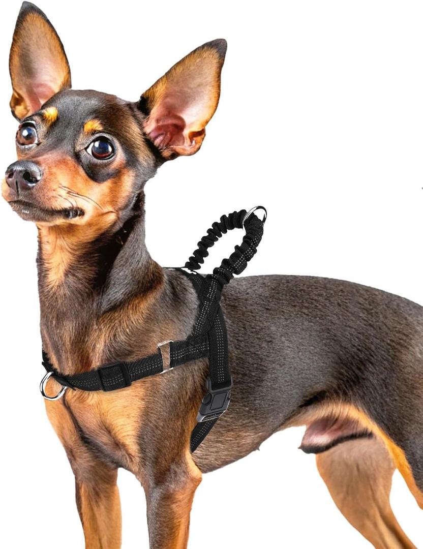 PUPTECK No Pull Dog Harness Small Sized Dog, Adjustable Reflective Pet Vest Harness with Bungee Handle, Escape Proof No Choke Harness for Small Dogs Walking Training, Black, Size XS 
