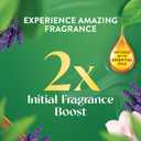 Air Wick Essential Mist Starter Kit, Diffuser + 1 Refill, Lavender and Almond Blossom, Air Freshener, Essential Oils