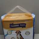 Extra Large Absorbent Training Pads for Dogs Puppy Training Potty Pads, 40 Count