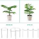 24 Pack Plant Support Stake, Half Round Metal Garden Plant Stake, Green Plant Support Ring, Border Support with Plant Lables & Plant Clips for Outdoor Indoor Plants, Vegetable, Flowers 16x10inch-24Pack