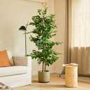 BLAINE | Ficus 5 FT | Decorative Artificial Plants | Large Artificial Plant | Artificial Plants for Indoor/Outdoor use | Realistic Decorative Artificial Plant for Home