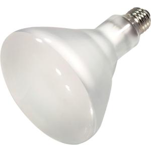 BULB POOL R40 MED 400W by SATCO MfrPartNo 7006 BULB POOL R40 MED 400W by SATCO MfrPartNo 7006