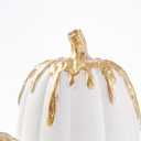 WDS WONDROUS Fall Pumpkin Decor Set of 2, White and Gold Pumpkins for Decorating, Resin Fake Pumpkin Figurines, Harvest Thanksgiving Mantel Table Centerpiece Autumn Home Decoration Gift