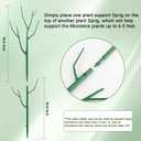 5 Pack Stackable Plant Support Stakes, Climbing Plant Support Structures for Monstera, Pothos, Philodendron Garden Plant Stakes for Indoor Outdoor Plants (Green)