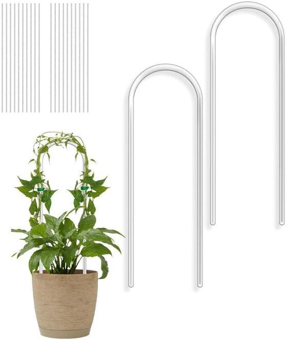 2 Pack Small Plant Trellis for Pots Indoor, Clear Acrylic Hoya Pothos Trelli with 20 Ties