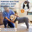 Purpose-Built Dog Surgery Recovery Suit with Rear Leg Sleeve to Stop Licking, Professional Dog Pants to Prevent Licking, TPLO Surgery Recovery Essentials for Dogs, ACL Knee Wound Protection, Gray L