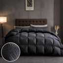 DAICO Goose Feather Down Comforter Full Size, All Season Luxury Hotel Fluffy Duvet Insert, Ultra Soft 100% Cotton Shell with 8 Corner Tabs, Paisley Design (82x90'', Black)