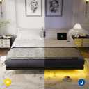 OLEVS King Size Floating Bed Frame, Metal Platform, with LED Light and Charging Station, No Box Spring Needed, Noise-Free, Easy Assembly