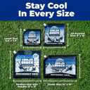 Cooler Shock Reusable Ice Packs for Cooler - Long Lasting Cold Freezer Packs for Coolers and Lunch Boxes - Cooler Ice Packs for Camping Gear, Fishing, Road Trips, Beach Must Haves